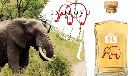 Indlovu Gin - 500 ml